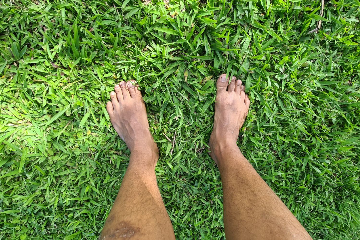 Earthing And Nature Walk in Habilin Farms