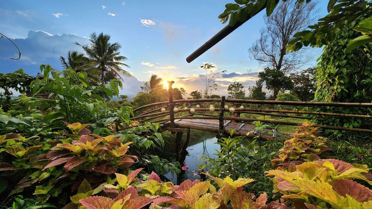 Habilin Farms Gallery