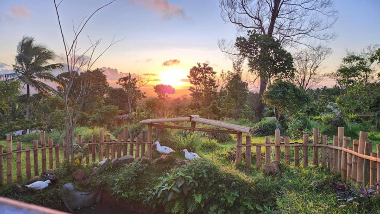 Habilin Farms Gallery