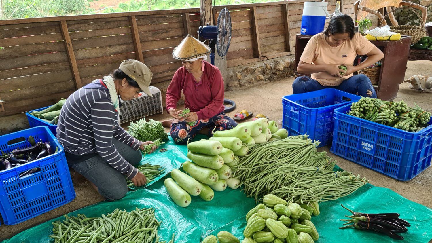 How Habilin Farms Came To Be How Habilin Farms Came To Be