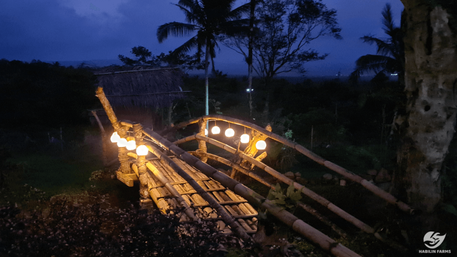 More Than An Ordinary Organic Farm More Than An Ordinary Organic Farm